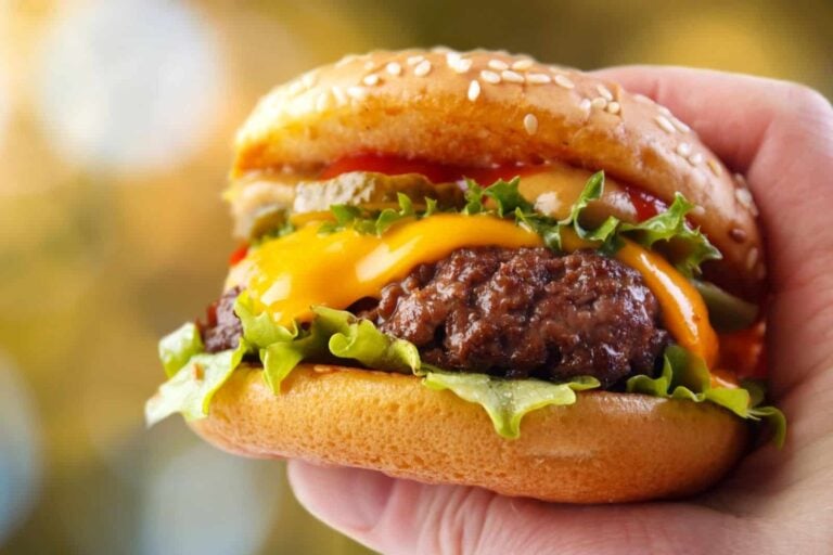 close up of hand holding meat free vegetarian cheeseburger