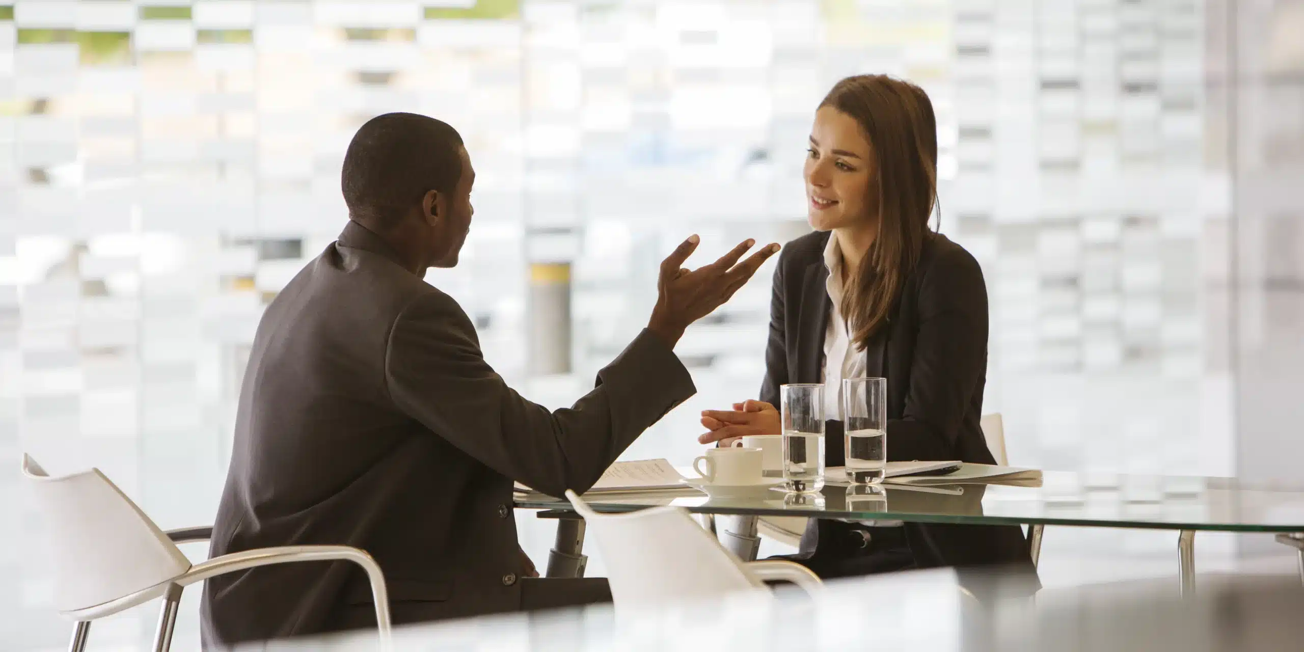 Moderator conducting B2B depth interview in a European research facility