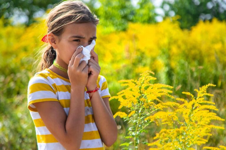 Young girl with hayfever allergic to ragweed plant blooming in park. She holds a tissue over her nose and mouth